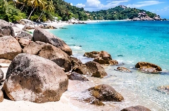 Original Koh Samui-inspired illustration of palms, sand and shoreline boulders.