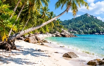 Original illustration of a palm-lined beach and green headland inspired by Koh Phangan.