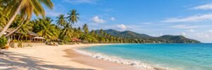 A palm-lined Samui-style beach beneath green hills