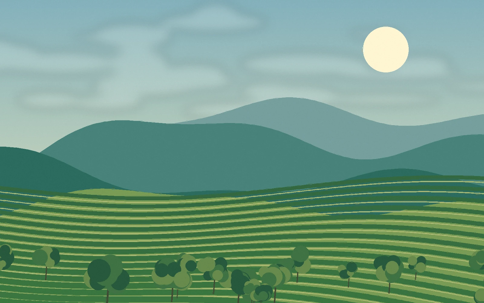 Original illustration of curving tea rows on rolling Chiang Rai-inspired hills