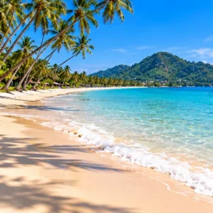 Original illustration of a palm-fringed tropical beach with a shaded shoreline