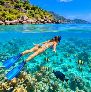 Original illustration of a snorkeller floating above a tropical reef