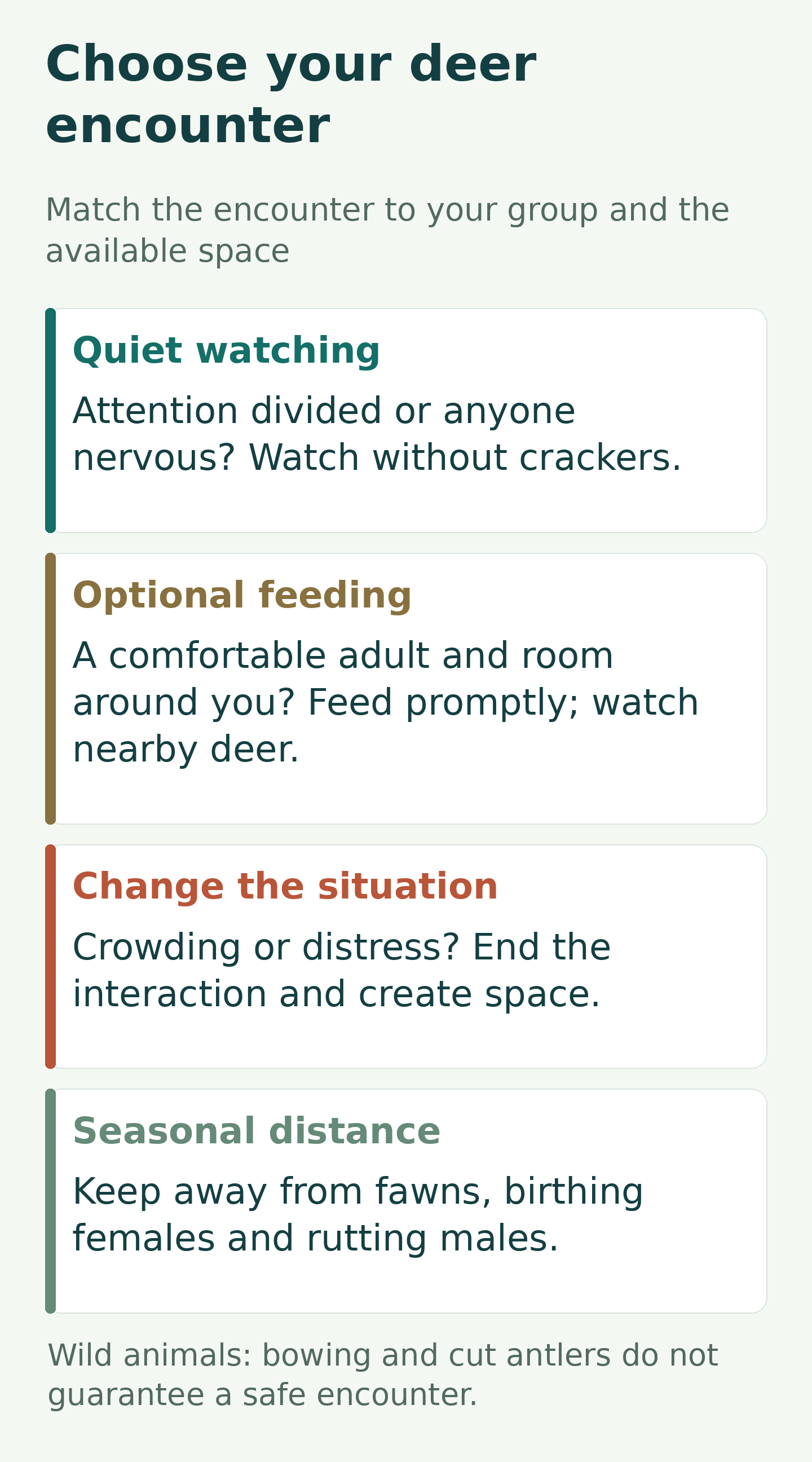 Decision matrix: watch without feeding when attention is divided or anyone feels nervous; consider feeding only with a comfortable adult and space; end the interaction if crowding or distress develops; keep away from fawns, birthing females and rutting males.